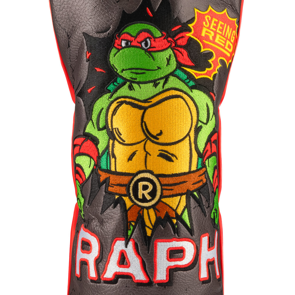 TMNT Heroes In A Half Shell Raph Driver Cover